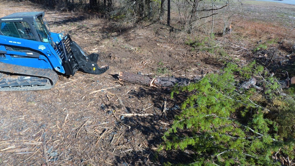 Blue Diamond Skid Steer Attachments Tree Shear Gallery 3