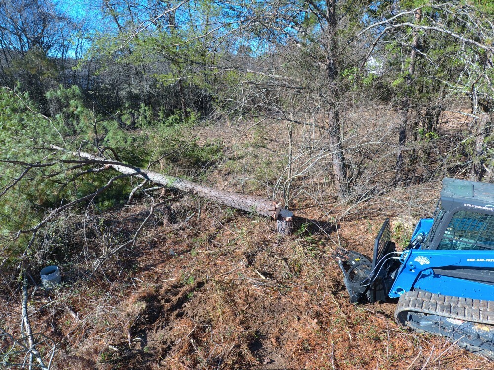 Blue Diamond Skid Steer Attachments Tree Shear Gallery 4