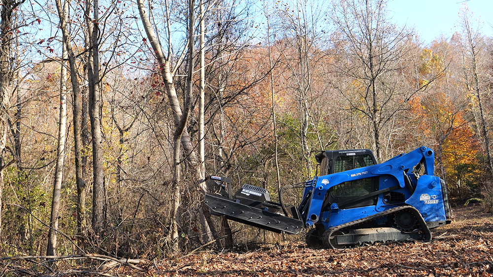 SS Brush Cutter SD S2 cutting tree ac2 web 1