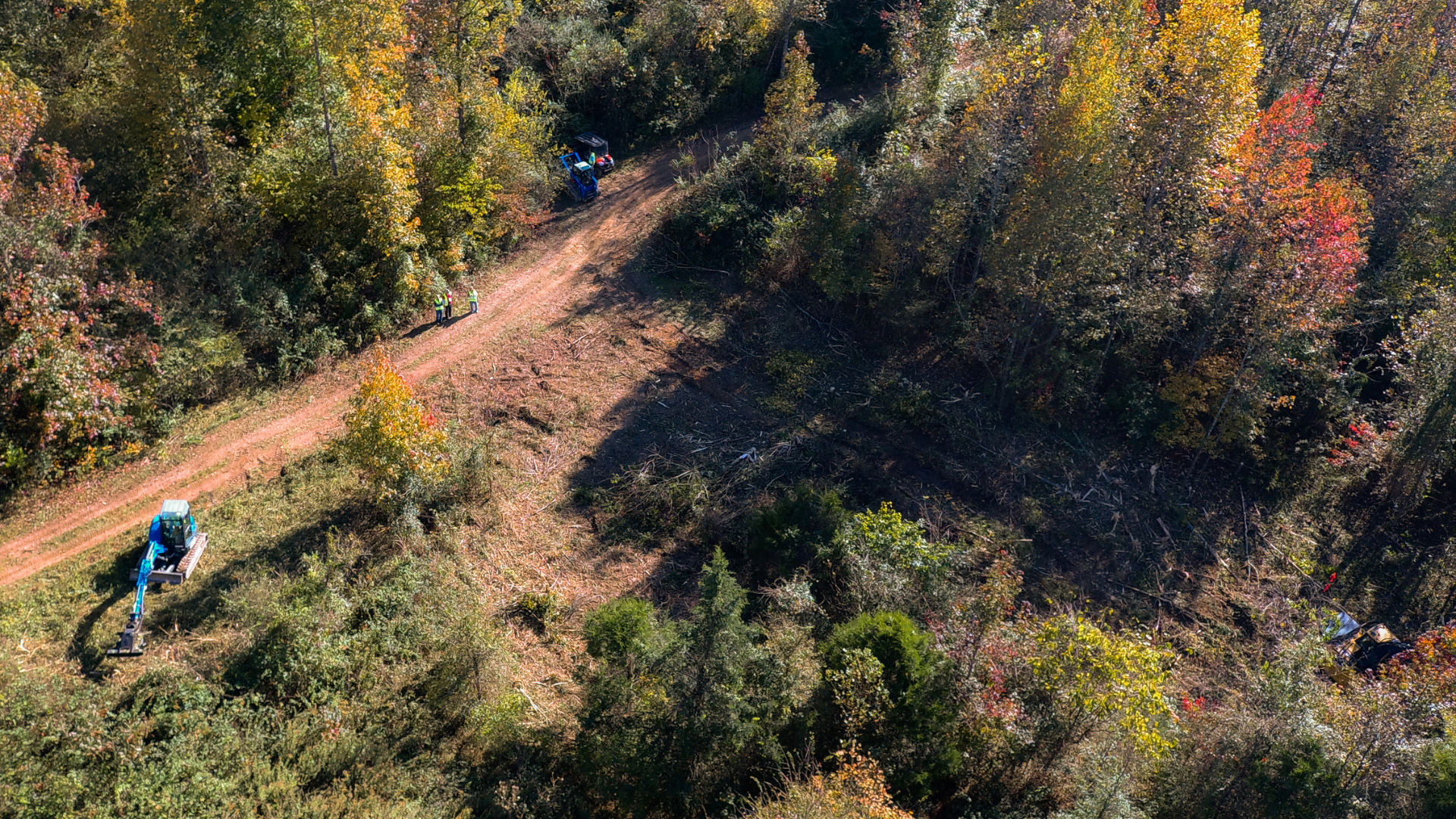 Landclearing