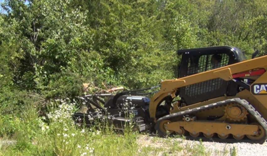 Cat Brushcutter action